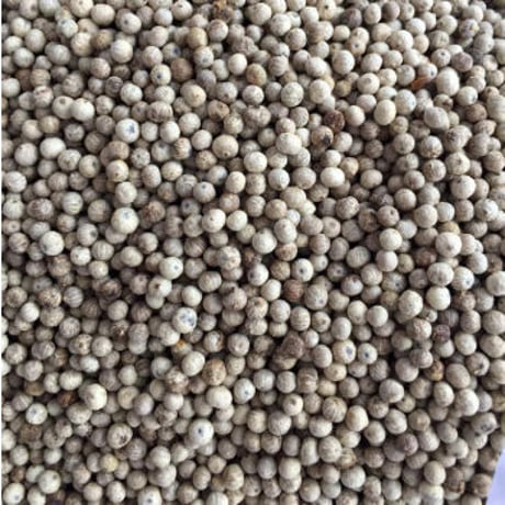 アンコールペッパー（白）ホワイトペッパー20g