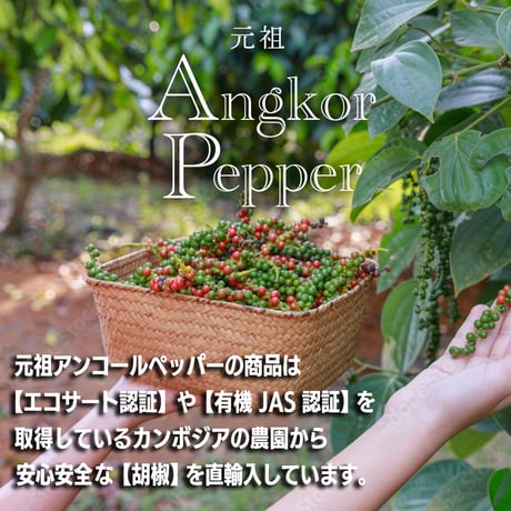 生アンコールペッパーペースト（チューブ）85g