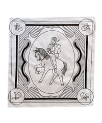 Horse handkerchief