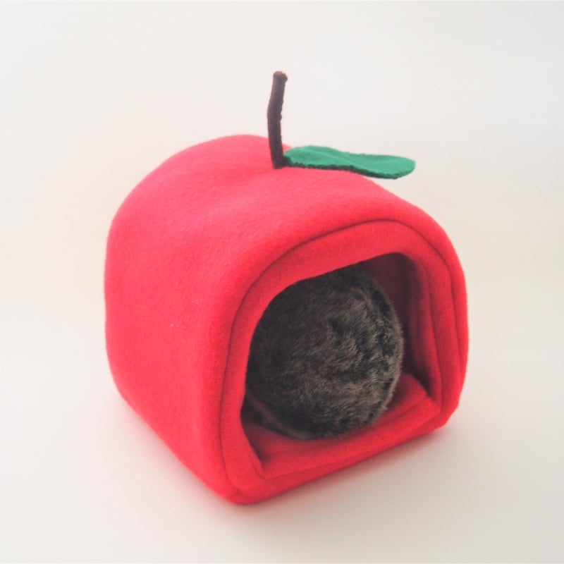 ハリネズミ飼育セット　りんご 楽天市場】三晃商会 ハリネズミの基本飼育セット お一人様1点