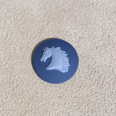 HORES FACE BLUE3