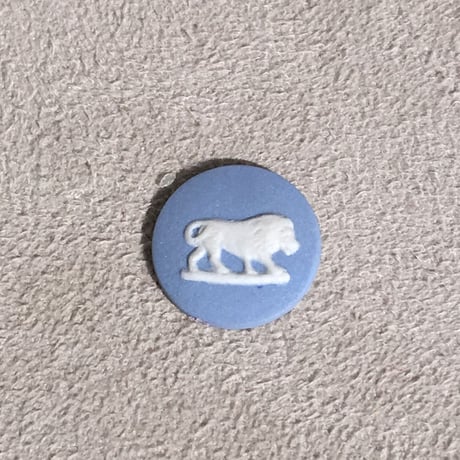 LION MOVE LIGHT BLUE