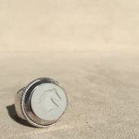HORSE FACE GRAY