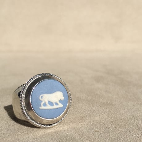 LION MOVE LIGHT BLUE
