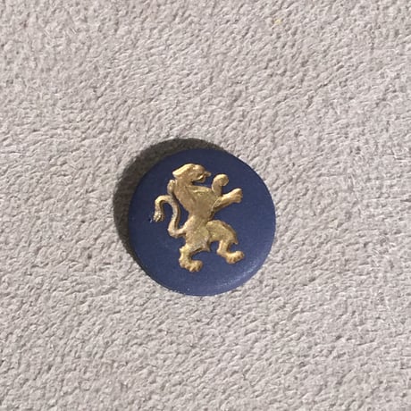LION NAVY