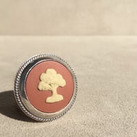 TREE REDDISH BROWN