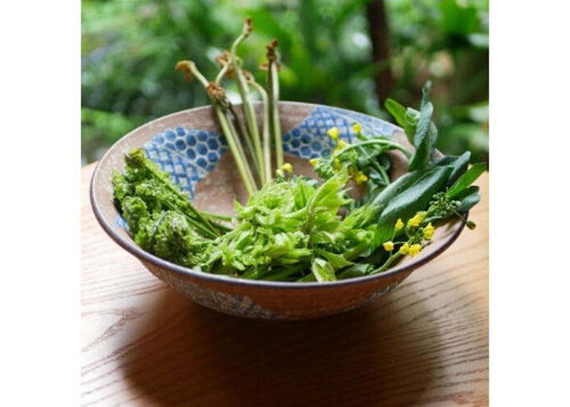 焼締め小紋九寸鉢 | 【公式オンラインショップ】京のやきもの わくわく