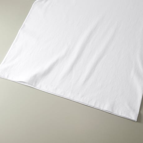 NPg-260102-LT-01