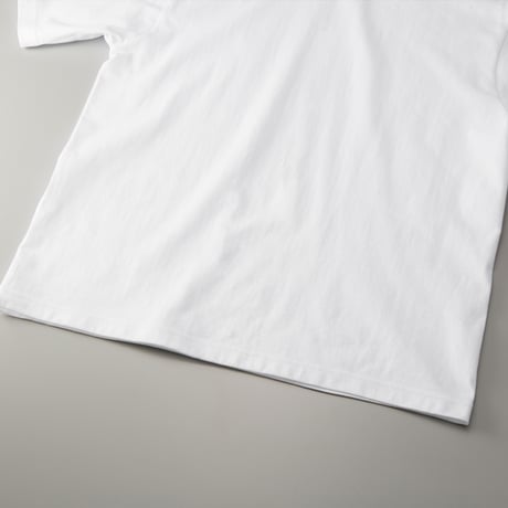NPg-260704-ST-01