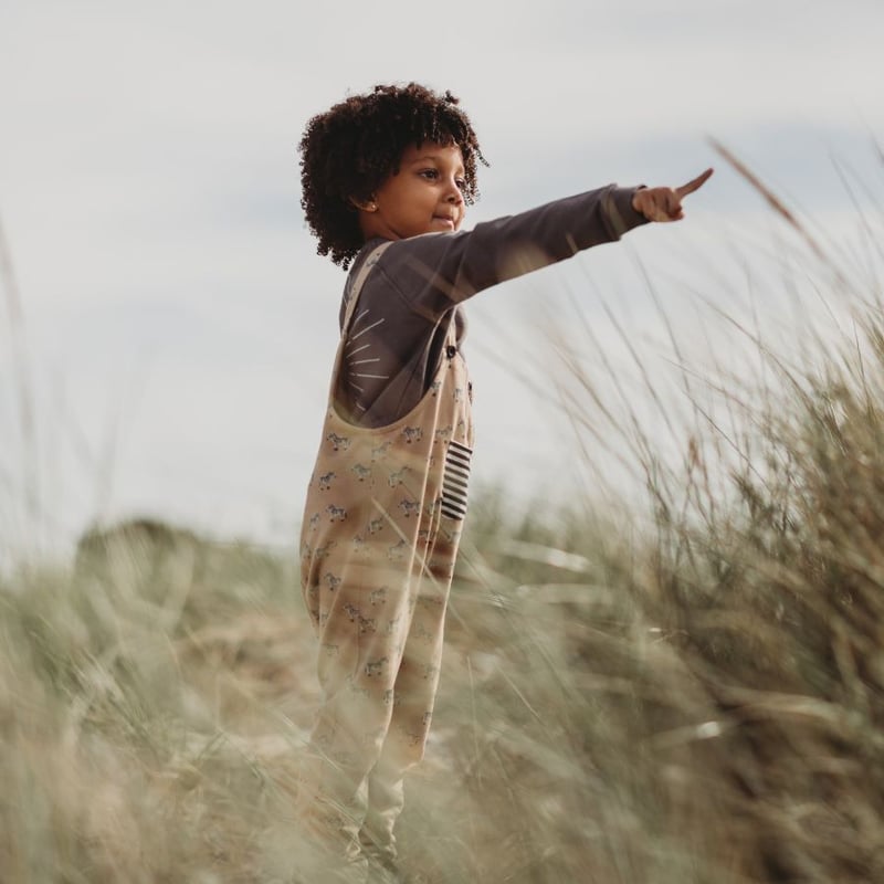 Turtledove London ] シマウマ オーバーオール 92-116cm | N