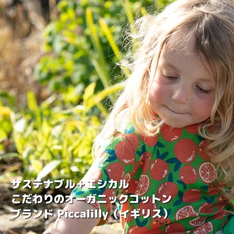 Piccalilly オレンジ Tシャツ 80/86cm