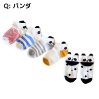 パンダ Socks 5足セット 14-16/ 16-18/ 18-22cm