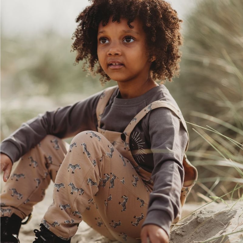 The Kennedy Denim Co./ ケネディ　カモ　オーバーオール The Kennedy Denim Co./ ケネディ カモ オーバーオール