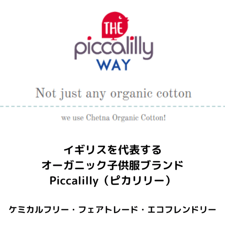 Piccalillyオーガニックコットン フェイスカバー 大人用  ストライプ