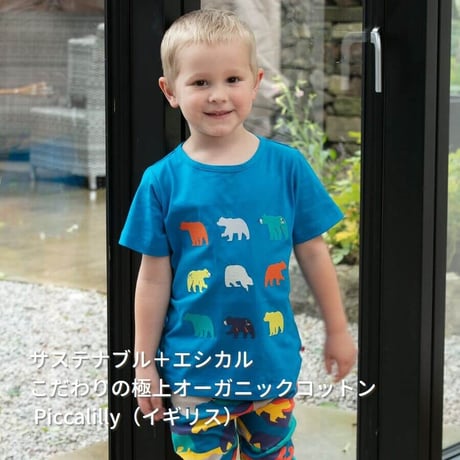Piccalilly 半袖Tシャツ ベアシルエット 104cm