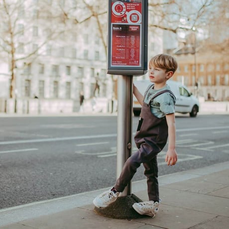 Turtledove London 半袖Tシャツ イトトンボ 80/110cm