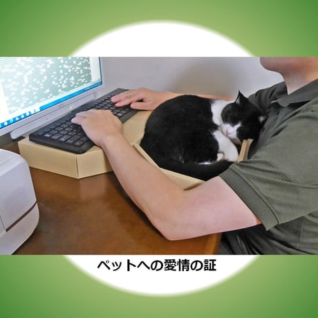 猫守パレット