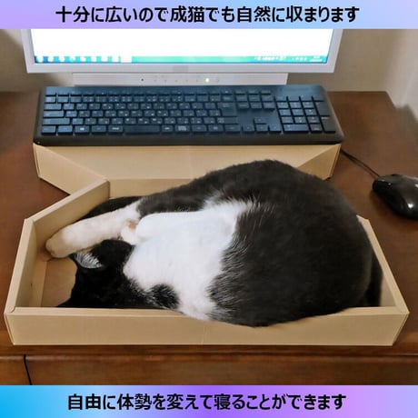 猫守パレット