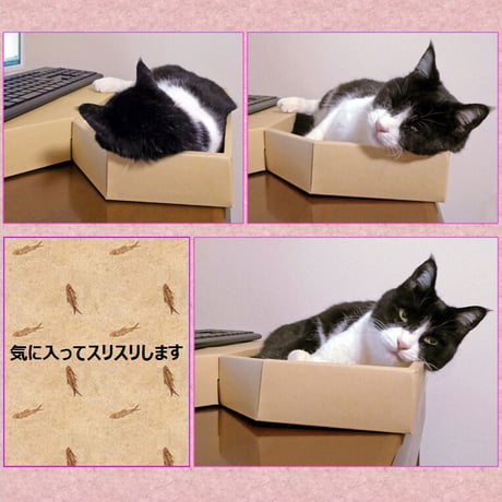 猫守パレット