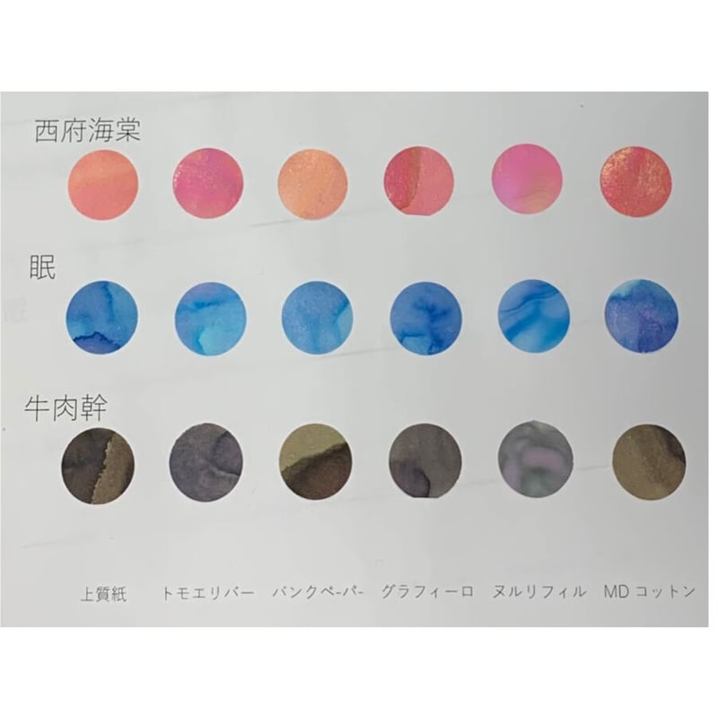 DREAM INK インクまとめ DREAM INK 西府海棠 (シーフーハイタン)20ml 遊色ラメ入りボトルインク