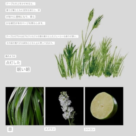 冷萃墨水 青草(グリーングラス)植物コールドブリューインク