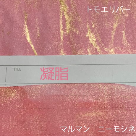 DREAM INK 凝脂(ぎょうし)20ml ラメインク