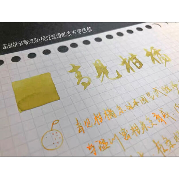 DREAM INK 青見柑橘（グリーンシトラス）20ml 遊色ラメ入りボトル