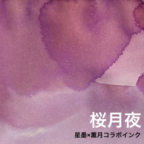 薫月文具堂 星墨 Starry Ink イッカク・テイル他 タミヤ角瓶付 薫月文具堂 星墨 Starry Ink イッカク・テイル他 タミヤ角瓶付