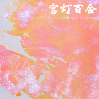 DREAM INK 宮灯百合　遊色ラメ入りインク　20ml