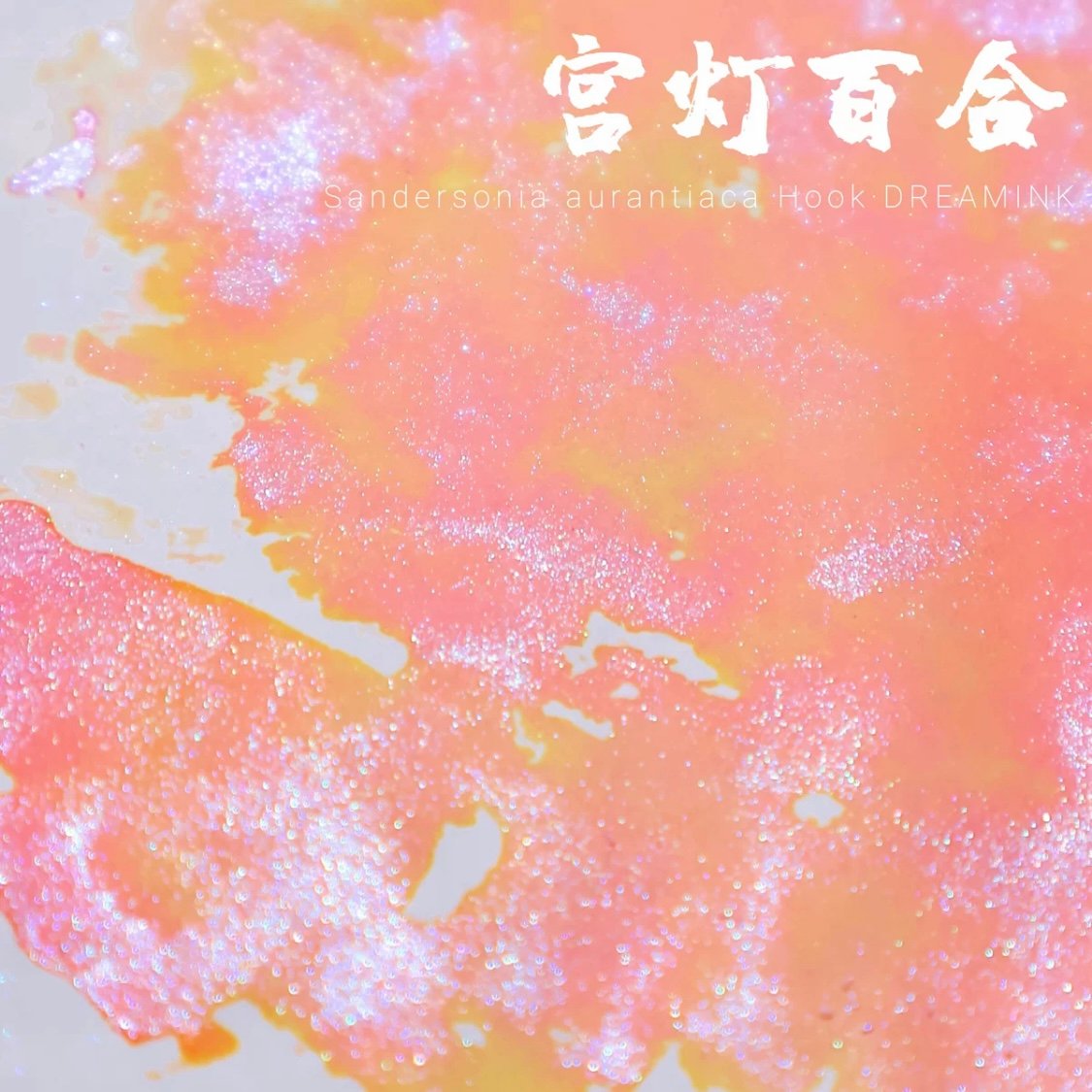 遊色インクdream ink×6本 DREAM INK 宮灯百合 遊色ラメ入りインク 20ml | 薫月文具堂