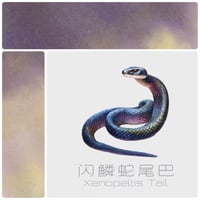 STARRY INK 星墨　閃鱗蛇尾巴 (ゼノペルティス・テイル) 温度変色インク