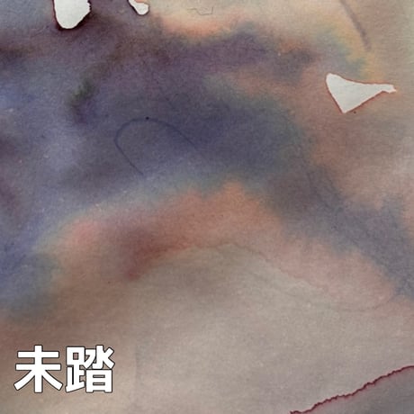 薫月文具堂 星墨 Starry Ink イッカク・テイル他 タミヤ角瓶付 薫月文具堂 星墨 Starry Ink イッカク・テイル他 タミヤ角瓶付