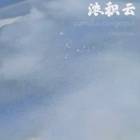 DREAM INK 浓积云 （ノンジーユン） 濃積雲 20ml ラメインク