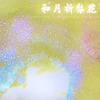 DREAM INK 和月折梨花（フーユェヅェー リファ）遊色ラメ入りボトルインク 20ml
