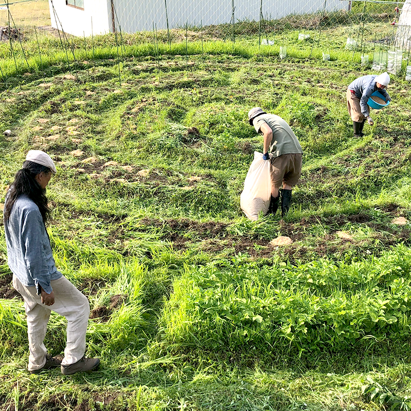 連続セミナー】《郡上》2026 岡本よりたかの「無肥料で自給農を始める