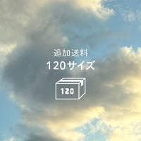 追加送料（100→120サイズ）