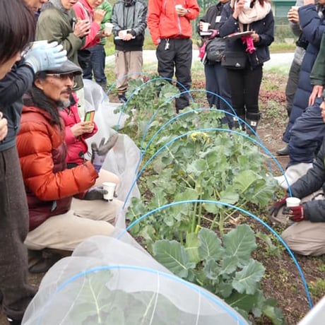 【連続セミナー】《郡上》2026 岡本よりたかの「無肥料で自給農を始めるセミナー =初級=」