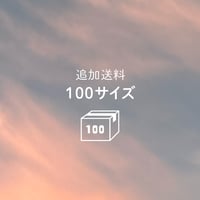 追加送料（60→100サイズ）