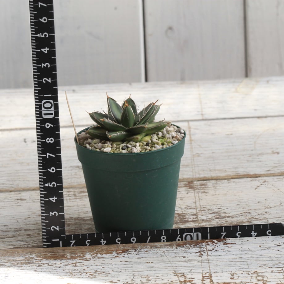 670cc6a2e4ecdd225bbc1aab