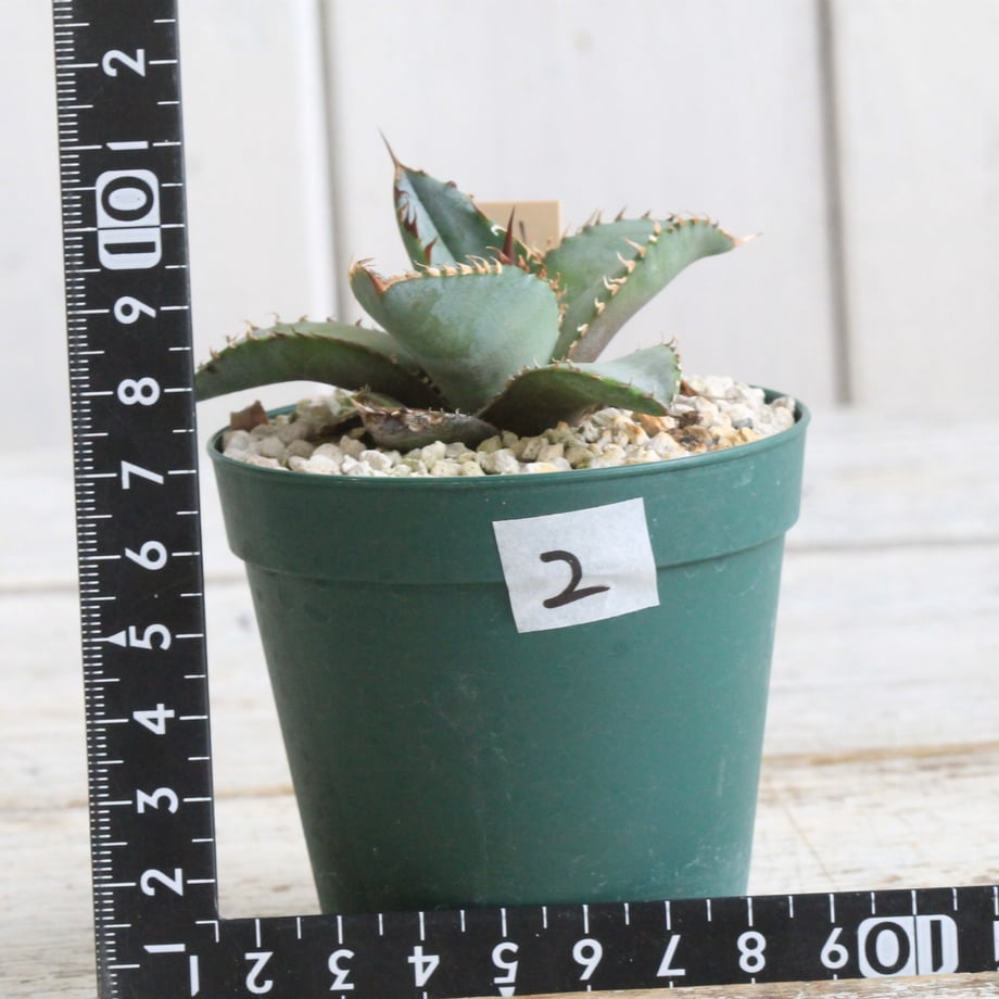6620ac3779443d002b8f3747