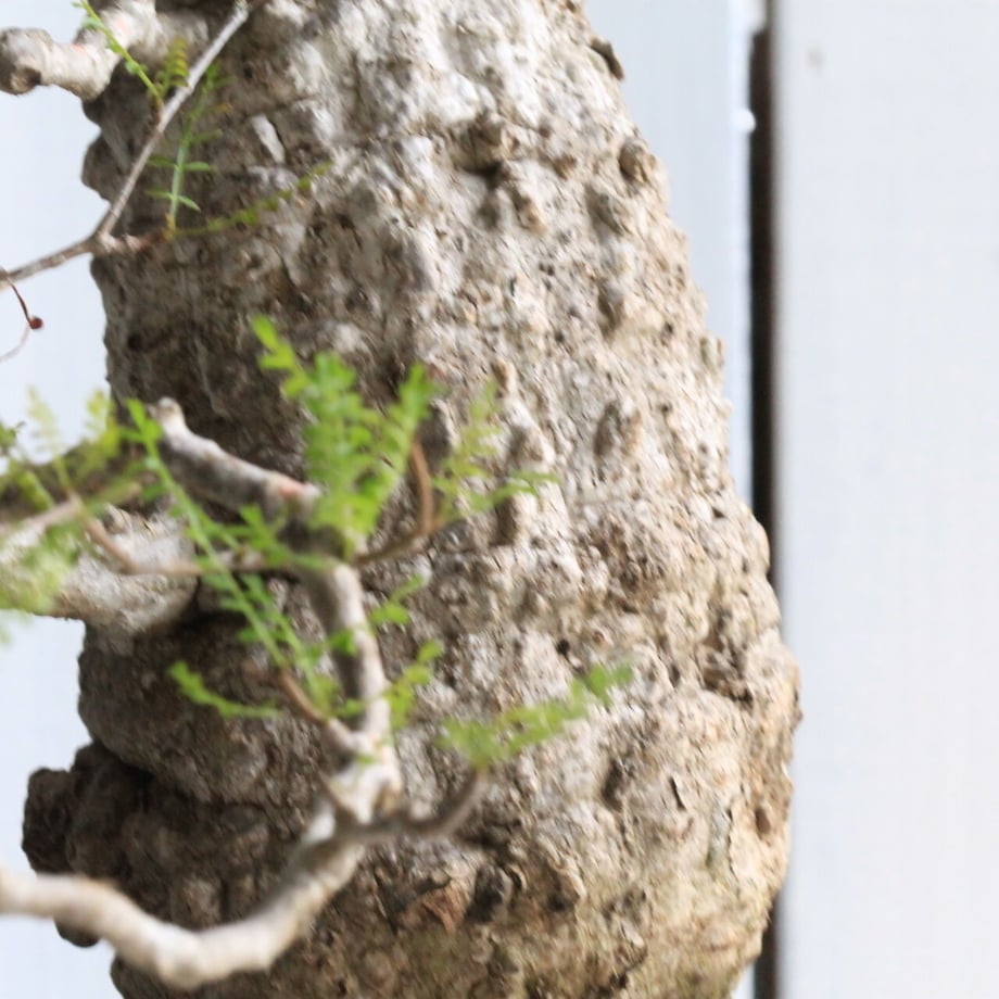 62cf6bd54ff8c21668e5873c
