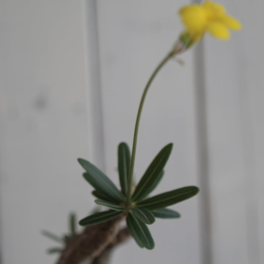 6615f38951920104159fb44e