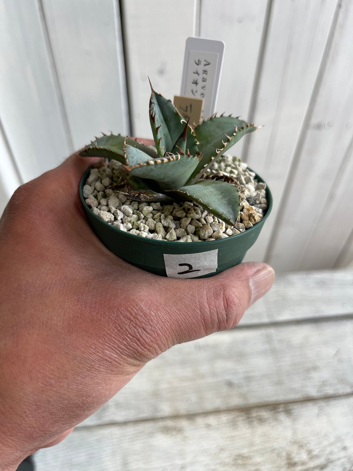 fit=scale-down,w=1200