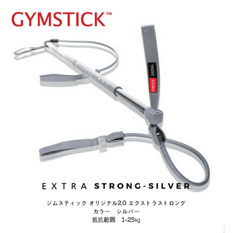 GYMSTICK （Silver）