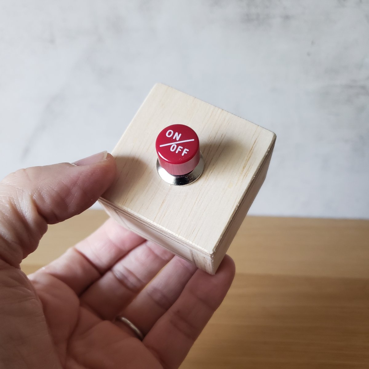 ぱんぢゃん出品】スイッチ箱 SWITCH BOX TOY｜プッシュスイッチ