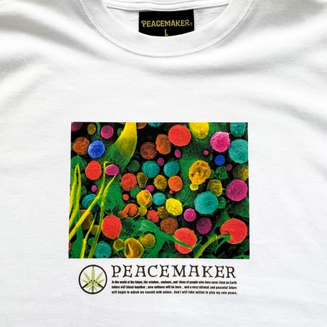T.H.CPU  S/S-T