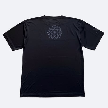 DARKLIGHT CODE
