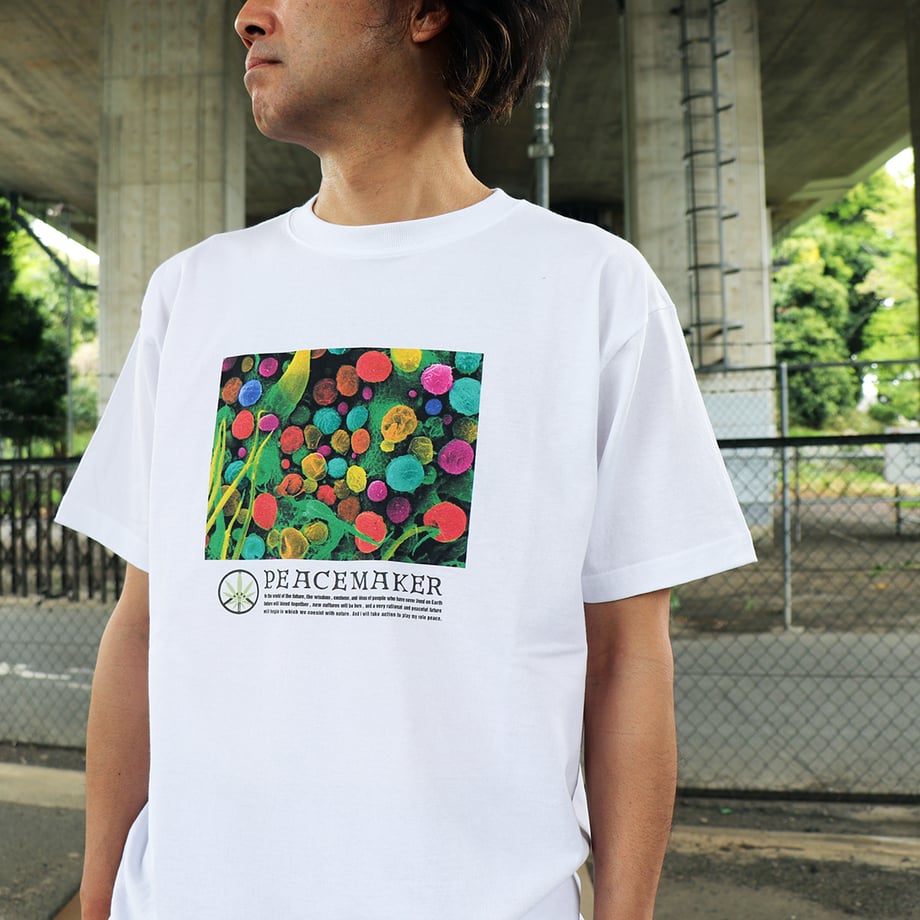 6803cdc66fd737190d41b64e