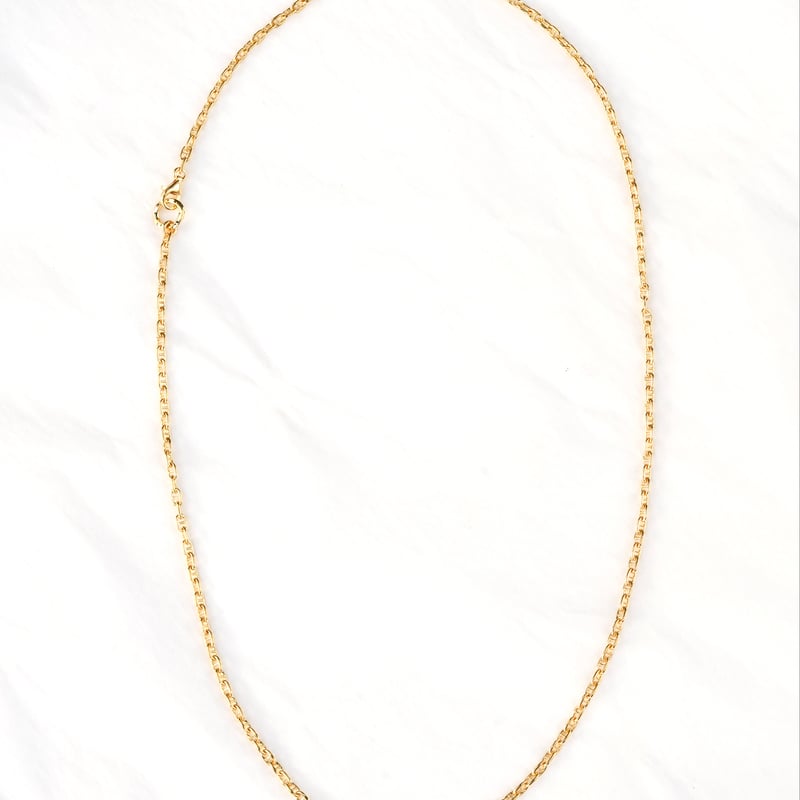 LIEN CHAIN NECKLACE (M) | GARDEL