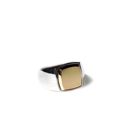 ROI RING P (SV X K18)
